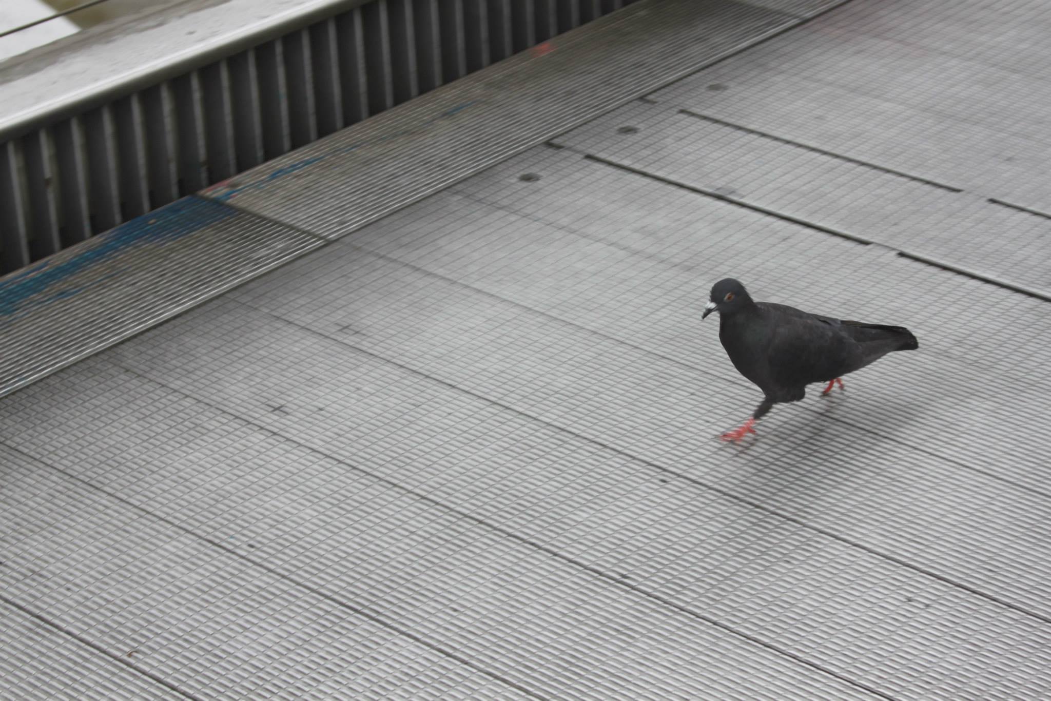 Everyone in the financial district is in a rush to get somewhere.